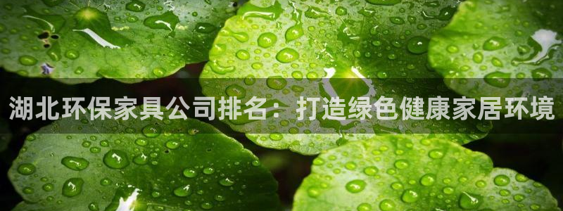 杏耀app怎样申请退款：湖北环保家具公司排名：打造绿色健康家